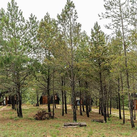 Chales Naturale - Campos Do Jordao - Cna ภายนอก รูปภาพ