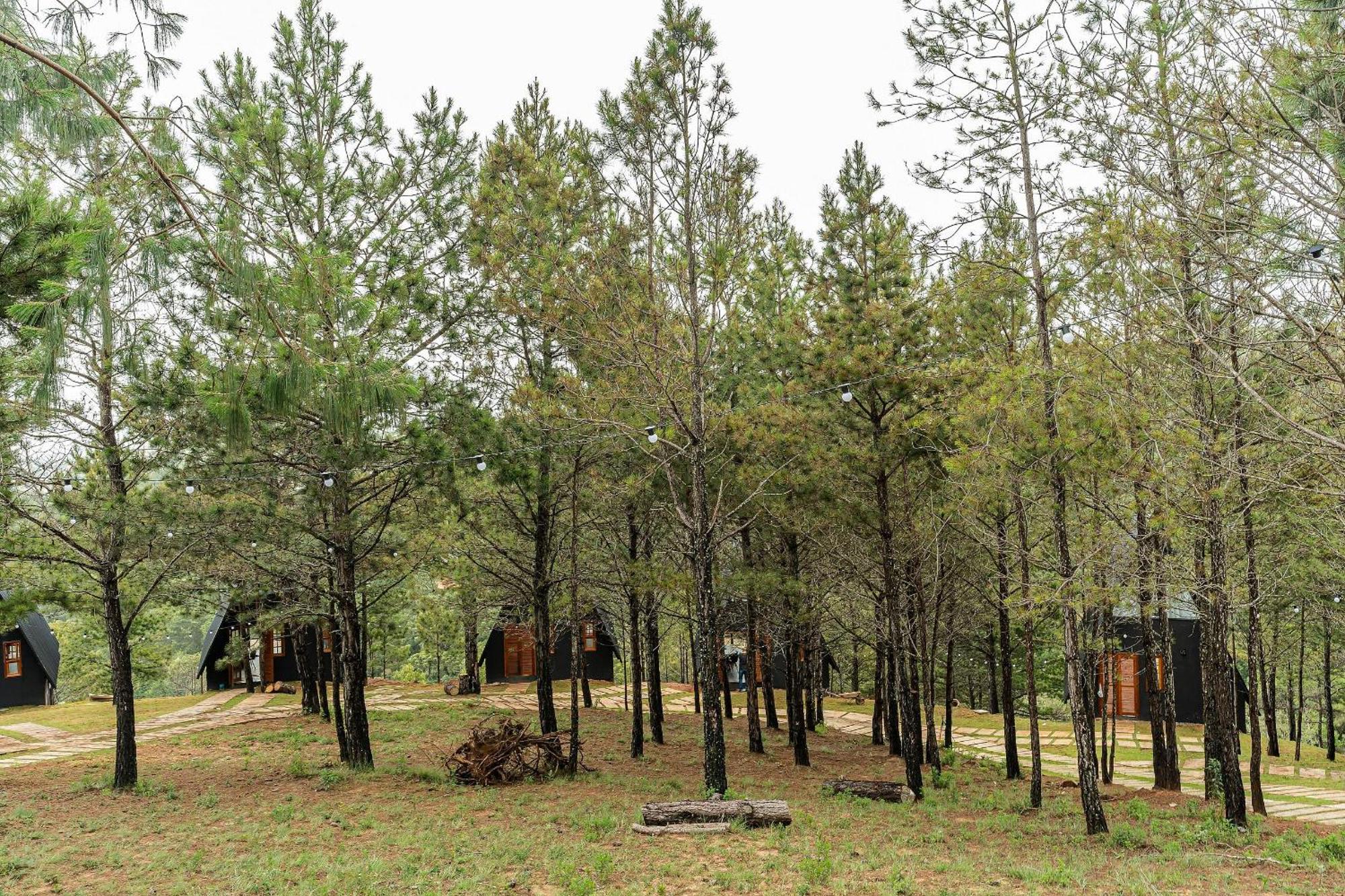 Chales Naturale - Campos Do Jordao - Cna ภายนอก รูปภาพ
